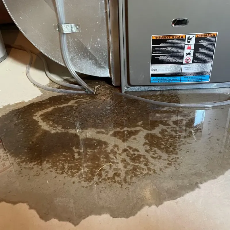 Pipe Burst and Leak Restoration in Cumberland County, KY